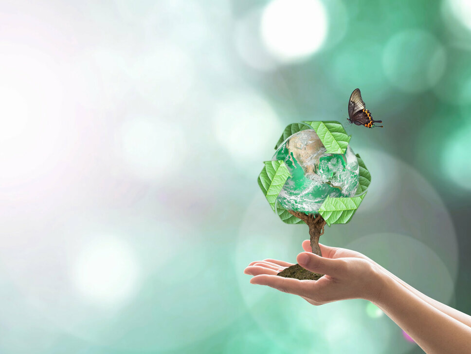 Hände halten einen Baum, dessen Äste den Erdglobus darstellen, vor einem leuchtenden Hintergrund. Über dem Baum ist ein Recycling-Symbol zu sehen, und ein Schmetterling fliegt auf ihn zu, was eine harmonische Verbindung von Natur und Nachhaltigkeit symbolisiert. In der Geschäftsethik von weba Werkzeugbau symbolisiert dieses Bild die Nachhaltigkeits- und Umweltschutzinitiative des Unternehmens.